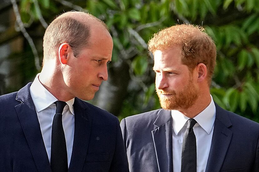 E papritur! Princi William ndalon Harryn të kthehet në familjen mbretërore